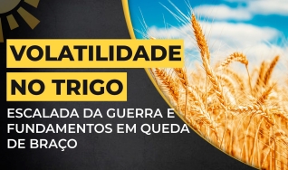 Élcio Bento - Analista da Safras & Mercado