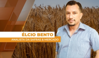 Élcio Bento - Analista da Safras & Mercado
