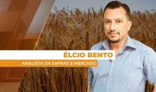 Élcio Bento - Analista da Safras & Mercado