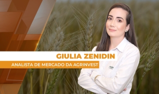 Giulia Zenidin - Analista de Mercado da Agrinvest