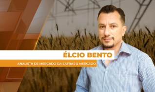 Élcio Bento - Analista da Safras & Mercado