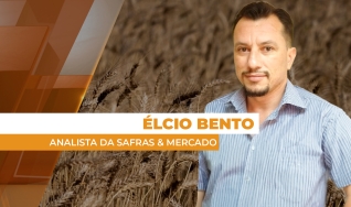 Élcio Bento - Analista da Safras & Mercado
