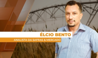 Élcio Bento - Analista da Safras & Mercado