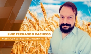 Luiz Fernando Pacheco - Analista Pleno de Grãos da TF Agroeconômica