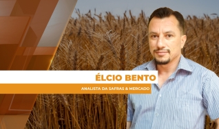Élcio Bento - Analista da Safras & Mercado