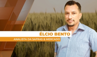 Élcio Bento - Analista da Safras & Mercado