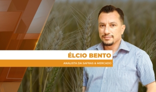 Élcio Bento - Analista da Safras & Mercado