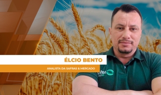 Élcio Bento - Analista da Safras & Mercado