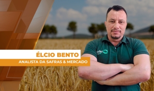Élcio Bento - Analista da Safras & Mercado