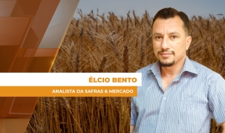 Élcio Bento - Analista da Safras & Mercado