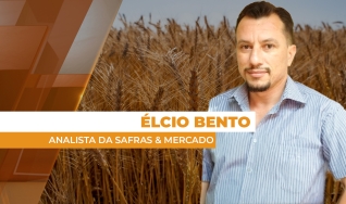 Élcio Bento - Analista da Safras & Mercado
