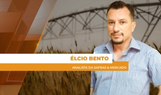 Élcio Bento - Analista da Safras & Mercado