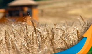 Carlos Hugo Godinho - Engenheiro Agrônomo do Deral