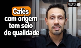 Bruno Labs