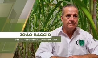 João Baggio - Diretor Presidente  G7 Agro Consultoria