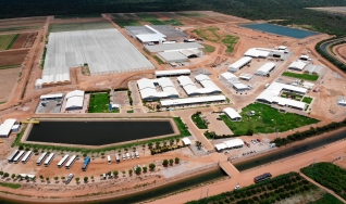 Conheça a unidade da Bayer responsável pela pesquisa e desenvolvimento de novas cultivares de soja e milho adaptadas ao clima tropical