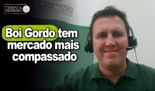 Thiago Bernardino