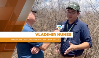 Vladimir Nunes