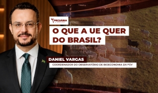 Daniel Vargas - Coordenador do Observatório de Bioeconomia da FGV