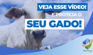 Carlos Zumerle, Especialista em Segurança no Agro