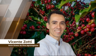 Vicente Zotti - Sócio Diretor da Pine Agronegócios