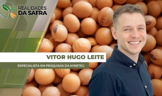 Vitor Hugo Leite - Especialista em Pesquisas da Kynetec