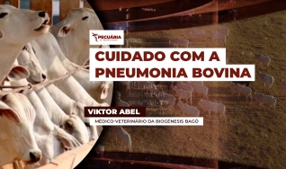 Viktor Abel - Médico-Veterinário da Biogénesis Bagó