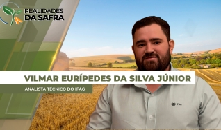 Vilmar Eurípedes Da Silva Júnior - Analista Técnico do IFAG