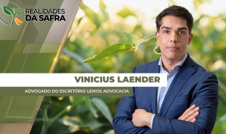 Vinicius Laender - Advogado do Escritório Lemos Advocacia