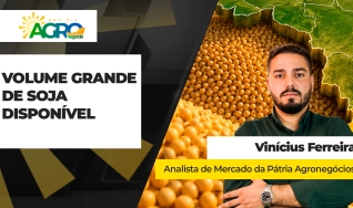 Vinícius Ferreira - Analista de Mercado da Pátria Agronegócios