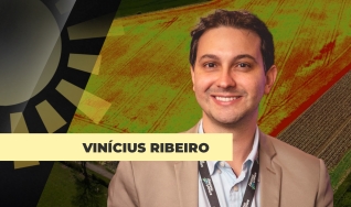 Vinícius Ribeiro - CEO da Geodata