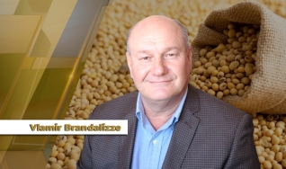 Vlamir Brandalizze - Consultor de Mercado da Brandalizze Consulting