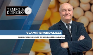 Vlamir Brandalizze
