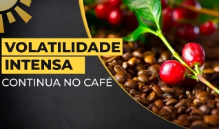 Virgínia Alves - Jornalista