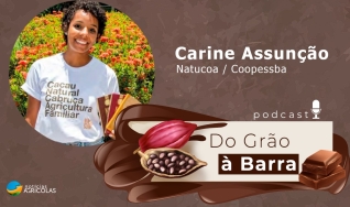 Do Grão à Barra