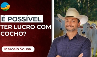 Podcast do NA - com Aleksander Horta