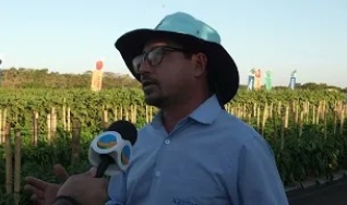Roberto Araújo - Especialista de Produtos para Cinturão Verde