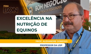 Prof. Alexandre Gobesso
