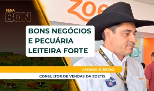 Afonso Ribeiro