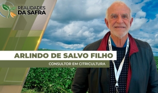 Arlindo de Salvo Filho - Consultor em Citricultura