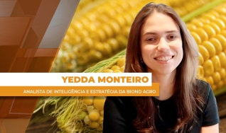 Yedda Monteiro - Analista de Inteligência e Estratégia da Biond Agro