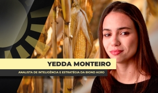 Yedda Monteiro - Analista de Inteligência e Estratégia da Biond Agro