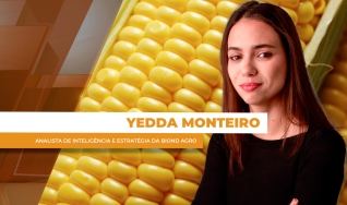 Yedda Monteiro - Analista de Inteligência e Estratégia da Biond Agro