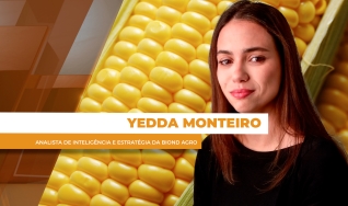 Yedda Monteiro - Analista de Inteligência e Estratégia da Biond Agro