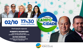 Conexão Campo Cidade -