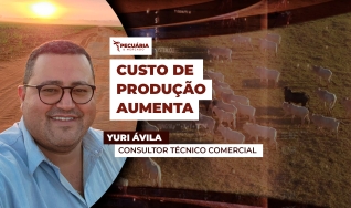Yuri Ávila - Consultor Técnico Comercial