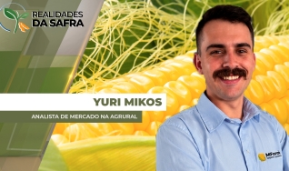 Yuri Mikos - Analista de Mercado na AgRural