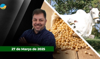 Fechamento de Mercado - Com Aleksander Horta