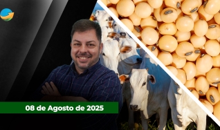 Fechamento de Mercado - Programa Completo