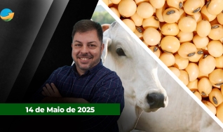 Fechamento de Mercado - Programa Completo